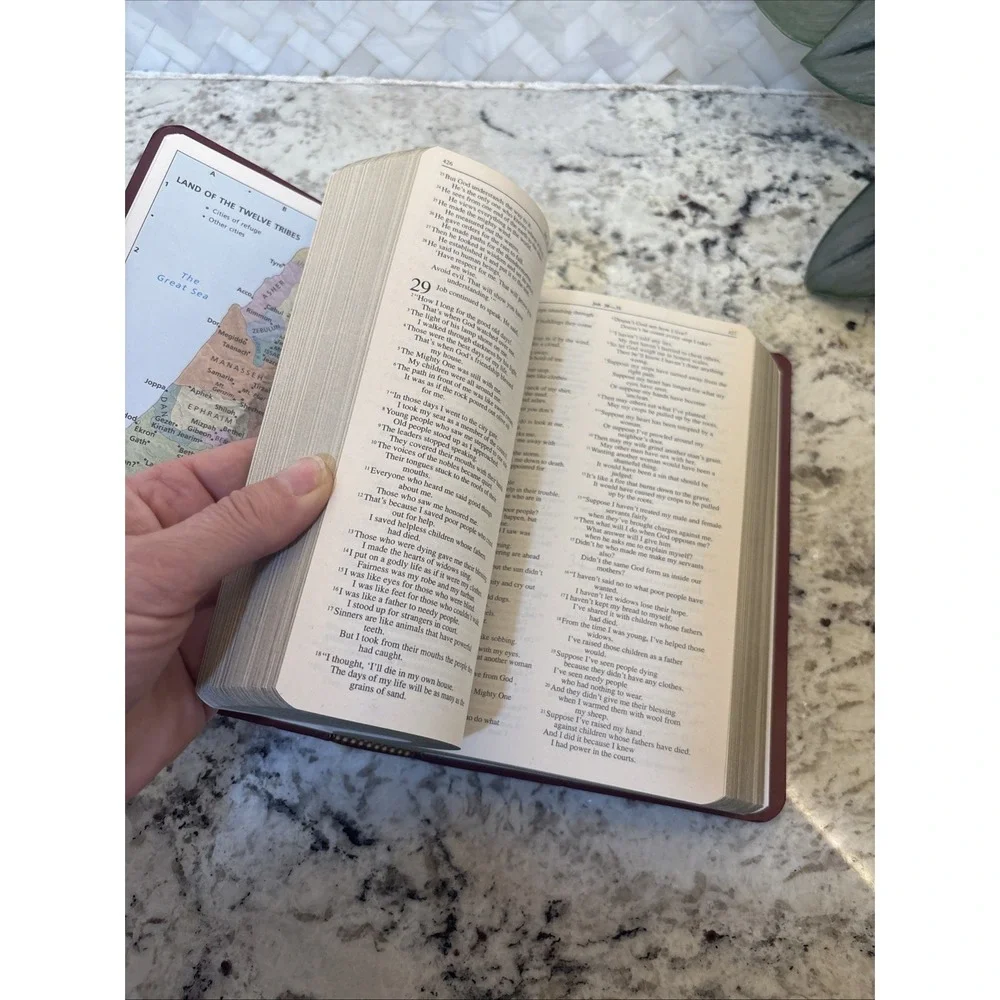 Zondervan Red Holy Bible With Helps‎ New International Version ZonderKidz